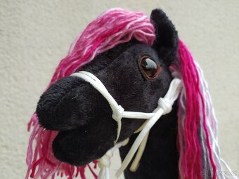 Hobby horse - 6