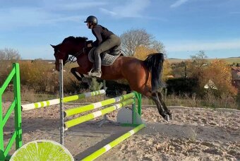 klisna pro dítě / amatéra - 6