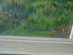 OBRAZ OLEJ NA PLÁTNĚ-Č.SUCHARDA 1925 - 6