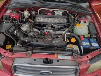 Subaru Forester SG 130 kw LPG - 6