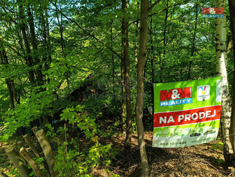 Prodej chaty, 25 m², Rychnov nad Kněžnou - 6