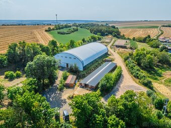 Ustájení koní – Telce u Peruce - 6