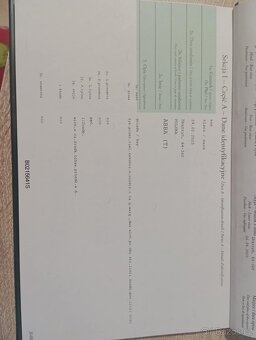 Šlonská klisna - 6