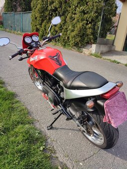 Buell X1 - 6