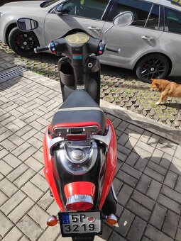 Sachs Bee - 6