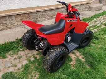 Dětská čtyřkolka Masai - 6