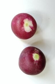 Semínka ředkvička, mangold, řepa, mochyně, kukuřice - 6