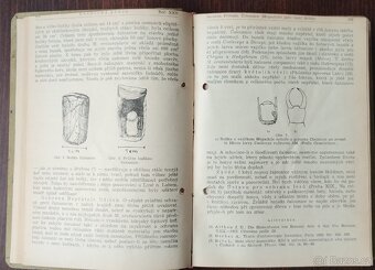 (Antikv.)Lesnická práce, časp. SET 12 - 6