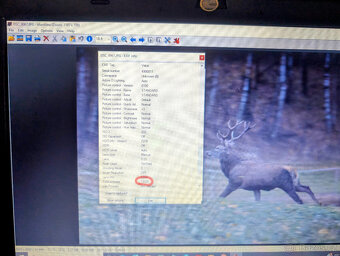 Nikon D5300 s objektivem AF-S Nikkor 18-105mm - 6