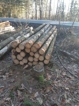 Prodám palivové dřevo - 6