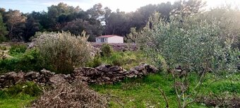 SLEVA / Rozsáhlý pozemek včetně domku / ostrov Šolta - 6