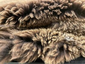 Kožešiny ovčí  hnědé barvy  různé velikosti - 6