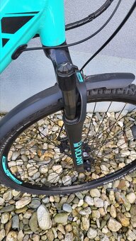 Leader Fox Venosa - 6