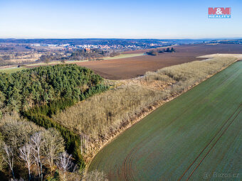Prodej pole, 24512 m², Horšovský Týn - 6
