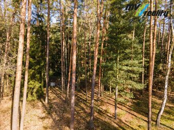 Kersko, prodej stavebního pozemku (3725 m2), okres Nymburk - 6