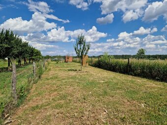 Zahrada u Kyjova 675m² - 6