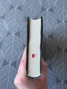 Nová kniha Pět životů: Neznámé příběhy obětí J. Rozparovače - 6