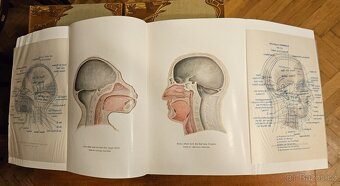 Weltall und Menschheit I-V - 6