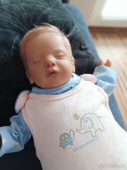 Reborn - 6