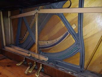 Piano Petroff - 6