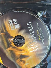 BBC přírodovědná sada CD. - 6