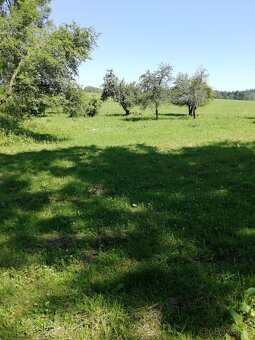 Prodej pozmků Přídolí-Lověšice - 6