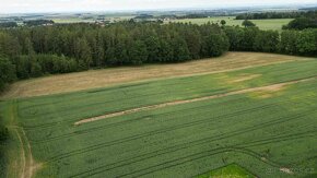 Prodam pozemek orná půda 1,2ha Vížky - 6