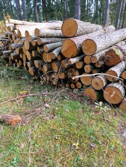 Palivové dřevo neštípané měkké/tvrdé - 6