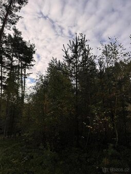 Prodám lesní pozemky v k.ú. Ločenice, p.č. 1452 a 1453 - 6