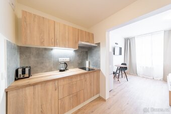 Cтильна 1kk для пари у Vinohrady. - 6