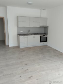 Pronájem bytu 1+kk 42,2m. - 6