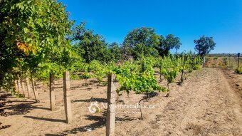 Na prodej pozemek - zahrada 1 132 m² s krásným výhledem + mo - 6