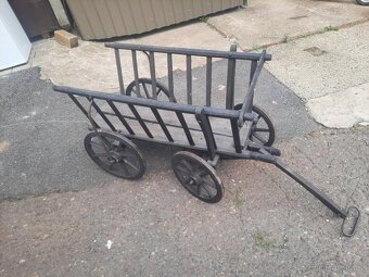 Starý řebřinak malý - 6