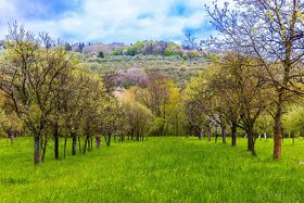 Prodej stavební parcely 2072 m2 Starý Hrozenkov - 6