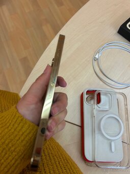 iPhone 13 PRO MAX - 6