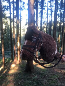 Hobby horse - 6