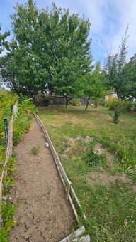 Prodej zahrady s chatou - Tachov - 6