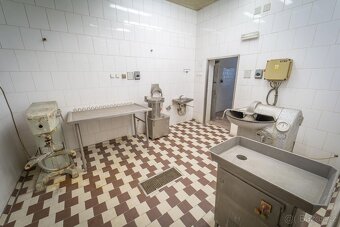 Starý Ples, prodej jatek 584 m2 s rodinným domem 287 m2 na p - 6