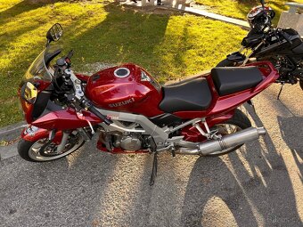 Suzuki SV1000s - 6