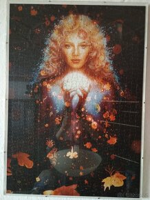 Obrazy puzzle 70x50 - 6