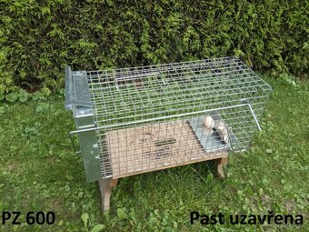 Past na kuny, potkany a toulavé kočky - 6