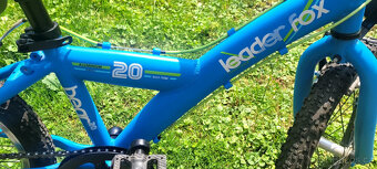 Leader Fox Bear 20" - 6