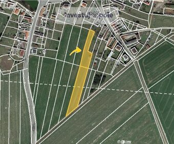 Prodej pole v k.ú. Borkovice - 6