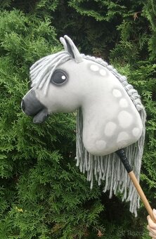 Hobby Horse - 6