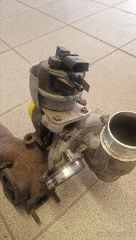 Turba na repas, různé druhy - 6