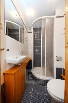 Zařízený 1+kk 27m2 v Nuslích, ev.č. N08766 - 6