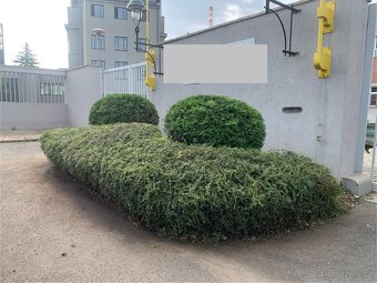 Údržba zeleně - 6