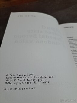 Západ, Spojené státy a západní Evropa ve studené válce - 6