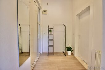 Dlouhodobý pronájem prostorného 1+1, 65 m2, zahrádka, cihla - 6
