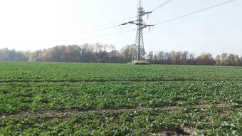 Orná půda O.- Bartovice, cca 25.000m2, rovina, 59 Kč/m2. - 6